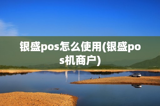 银盛pos怎么使用(银盛pos机商户)