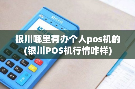 银川哪里有办个人pos机的(银川POS机行情咋样)