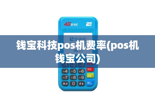 钱宝科技pos机费率(pos机钱宝公司)