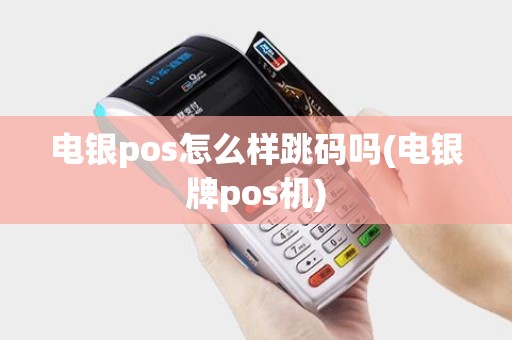 电银pos怎么样跳码吗(电银牌pos机)