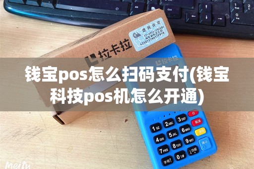 钱宝pos怎么扫码支付(钱宝科技pos机怎么开通)