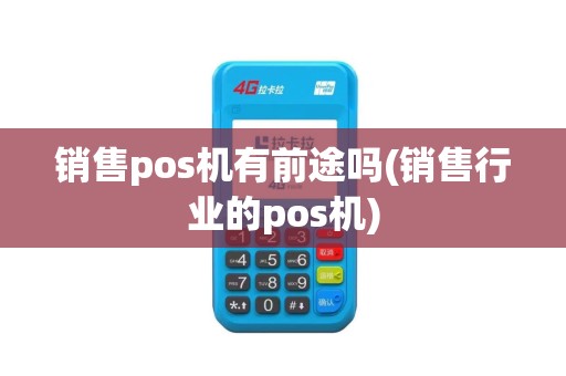 销售pos机有前途吗(销售行业的pos机)