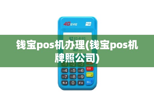 钱宝pos机办理(钱宝pos机牌照公司)