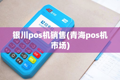 银川pos机销售(青海pos机市场)