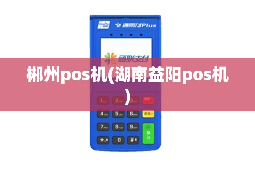 郴州pos机(湖南益阳pos机)