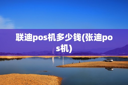 联迪pos机多少钱(张迪pos机)