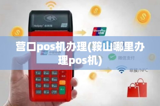 营口pos机办理(鞍山哪里办理pos机)
