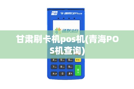 甘肃刷卡机pos机(青海POS机查询)