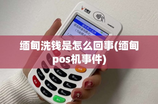 缅甸洗钱是怎么回事(缅甸pos机事件)