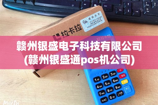 赣州银盛电子科技有限公司(赣州银盛通pos机公司)