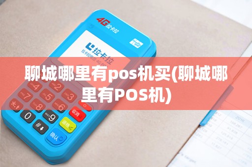 聊城哪里有pos机买(聊城哪里有POS机)