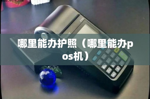 哪里能办护照（哪里能办pos机）