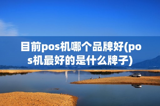 目前pos机哪个品牌好(pos机最好的是什么牌子)