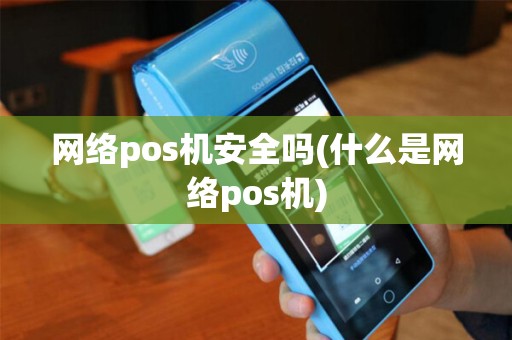 网络pos机安全吗(什么是网络pos机)