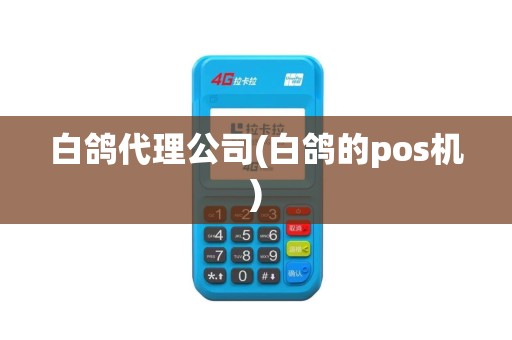 白鸽代理公司(白鸽的pos机)