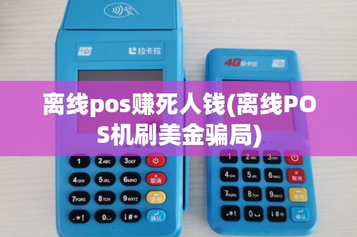 离线pos赚死人钱(离线POS机刷美金骗局)