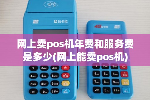 网上卖pos机年费和服务费是多少(网上能卖pos机)