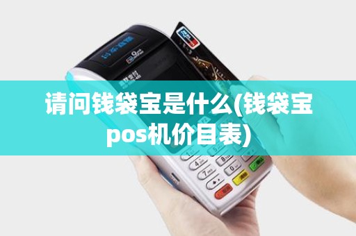 请问钱袋宝是什么(钱袋宝pos机价目表)