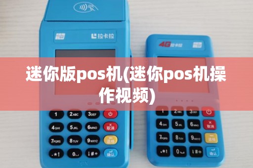 迷你版pos机(迷你pos机操作视频)