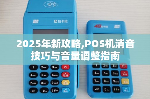 2025年新攻略,POS机消音技巧与音量调整指南
