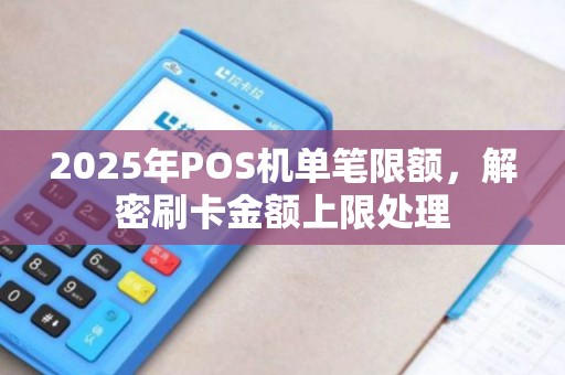 2025年POS机单笔限额，解密刷卡金额上限处理
