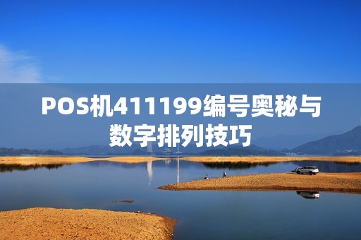POS机411199编号奥秘与数字排列技巧
