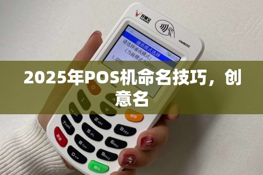 2025年POS机命名技巧，创意名