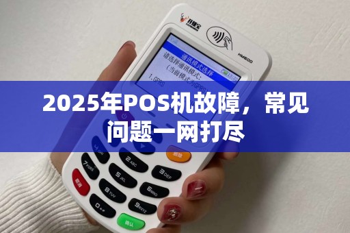 2025年POS机故障，常见问题一网打尽
