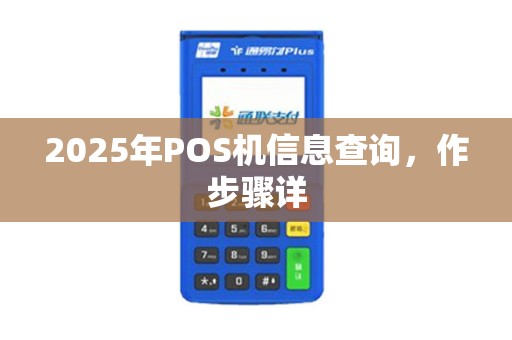 2025年POS机信息查询，作步骤详