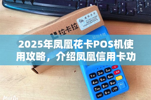 2025年凤凰花卡POS机使用攻略，介绍凤凰信用卡功能与充值技巧