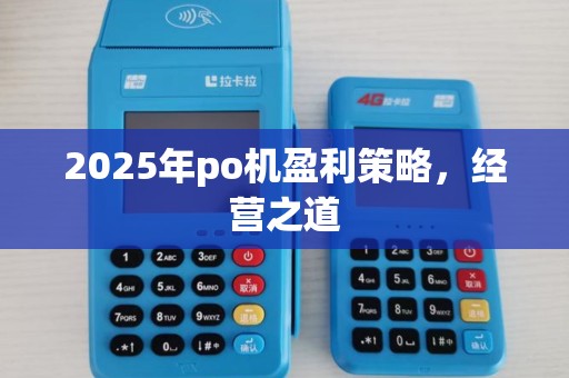 2025年po机盈利策略，经营之道