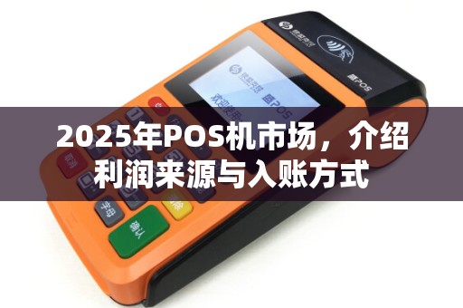 2025年POS机市场，介绍利润来源与入账方式