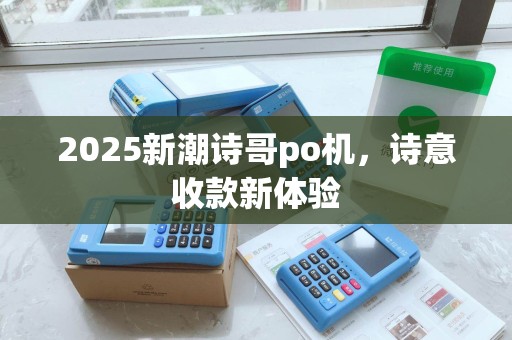 2025新潮诗哥po机，诗意收款新体验