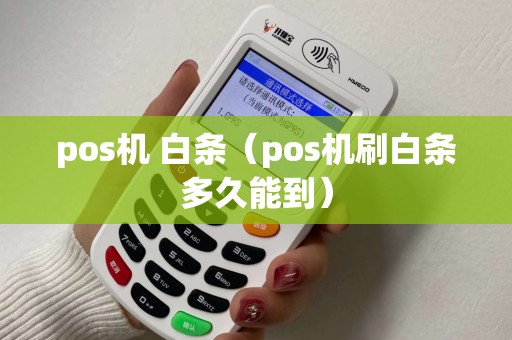 pos机 白条（pos机刷白条多久能到）