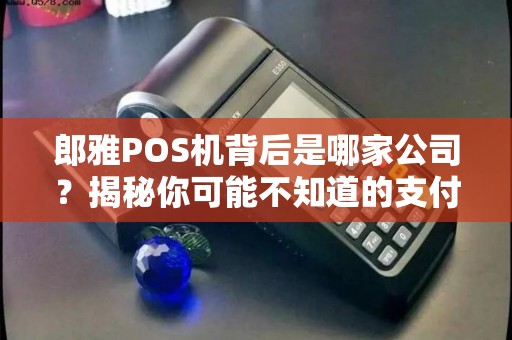 郎雅POS机背后是哪家公司？揭秘你可能不知道的支付行业内幕！