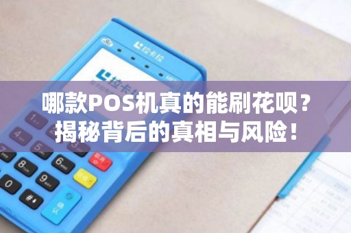 哪款POS机真的能刷花呗？揭秘背后的真相与风险！