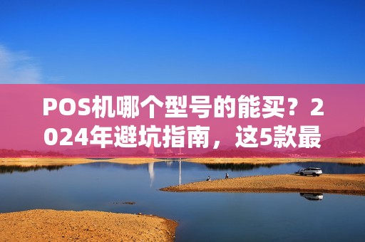 POS机哪个型号的能买？2024年避坑指南，这5款最靠谱！