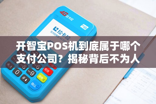 开智宝POS机到底属于哪个支付公司？揭秘背后不为人知的行业内幕！