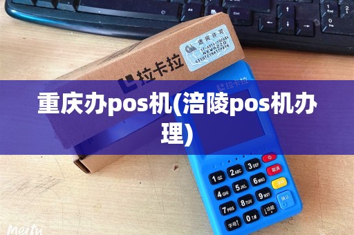 重庆办pos机(涪陵pos机办理)