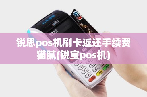 锐思pos机刷卡返还手续费猫腻(锐宝pos机)