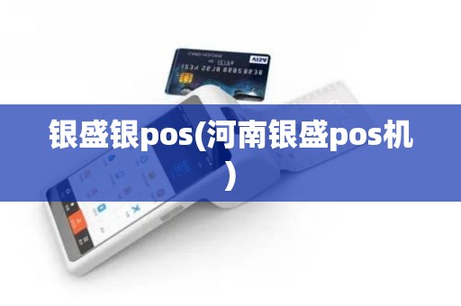 银盛银pos(河南银盛pos机)