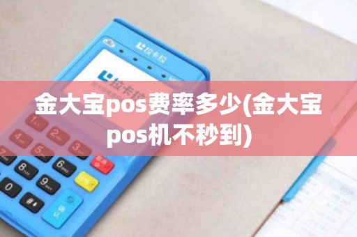 金大宝pos费率多少(金大宝pos机不秒到)