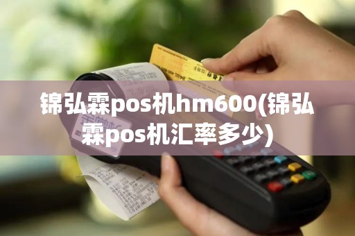 锦弘霖pos机hm600(锦弘霖pos机汇率多少)