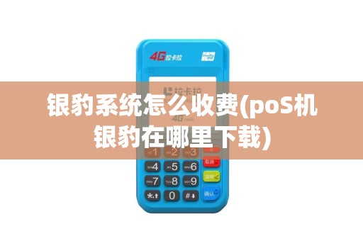 银豹系统怎么收费(poS机银豹在哪里下载)