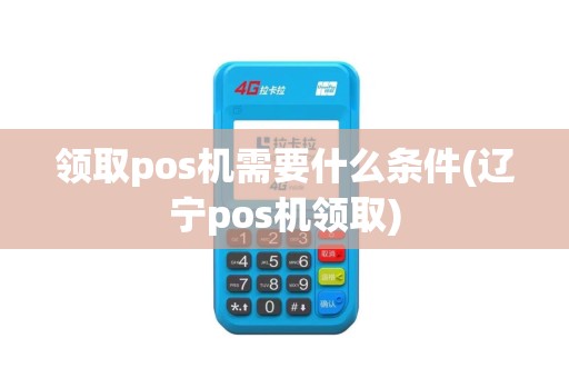 领取pos机需要什么条件(辽宁pos机领取)