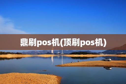 鼎刷pos机(顶刷pos机)