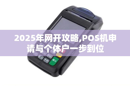2025年网开攻略,POS机申请与个体户一步到位