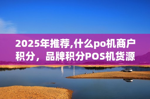 2025年推荐,什么po机商户积分，品牌积分POS机货源精选