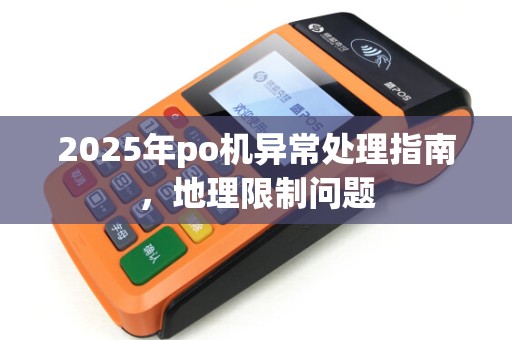 2025年po机异常处理指南，地理限制问题
