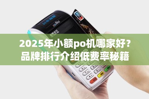 2025年小额po机哪家好？品牌排行介绍低费率秘籍